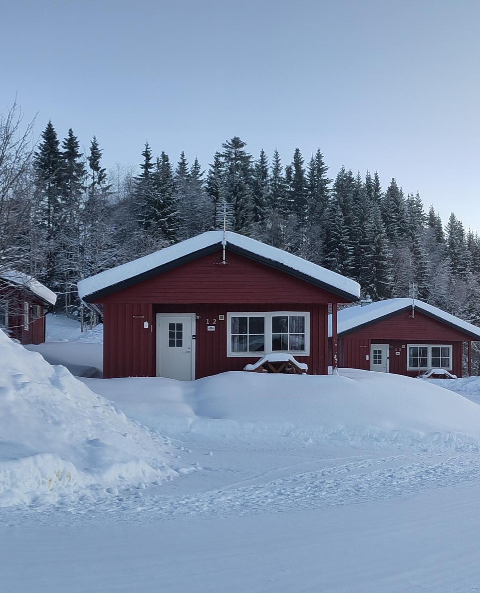 Taernaby Sportstugor Exteriör bild